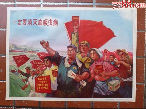 做假新佛罗里达学院文凭